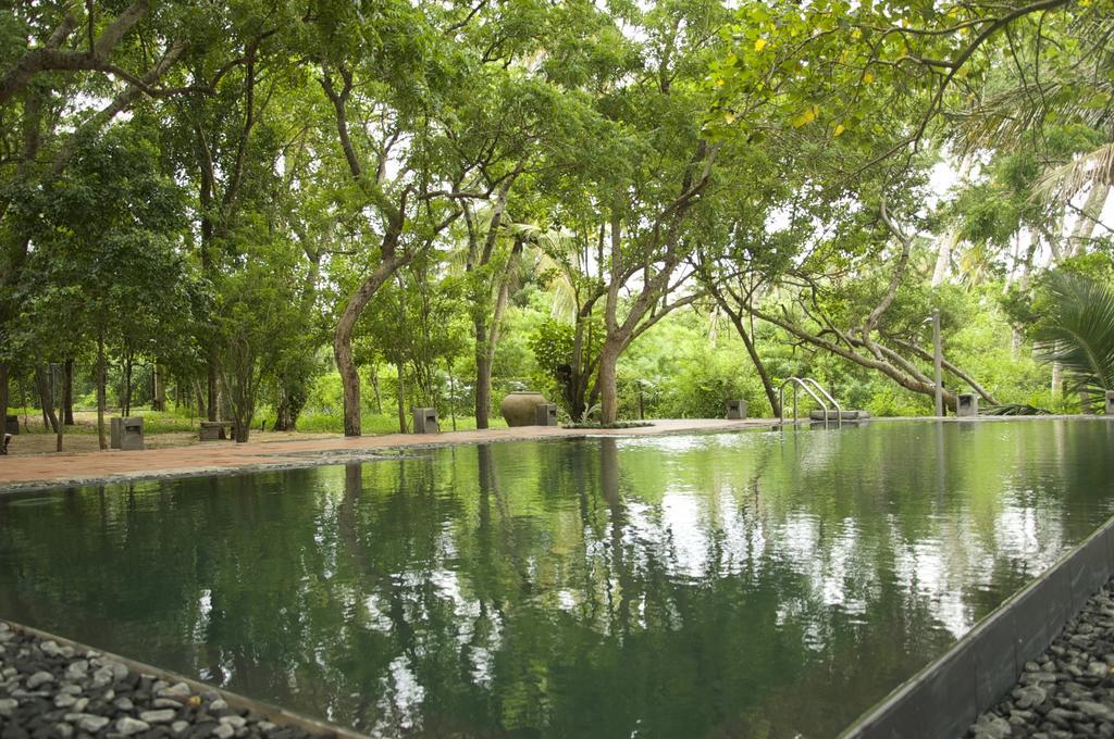 Lagoon House Rekawa Tangalle Ngoại thất bức ảnh