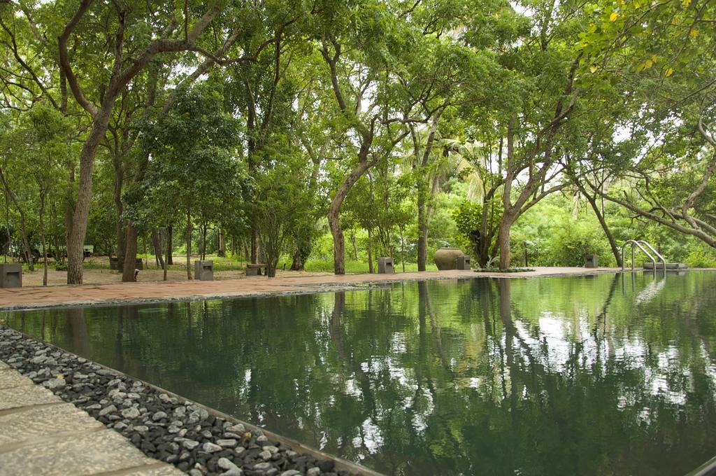 Lagoon House Rekawa Tangalle Ngoại thất bức ảnh