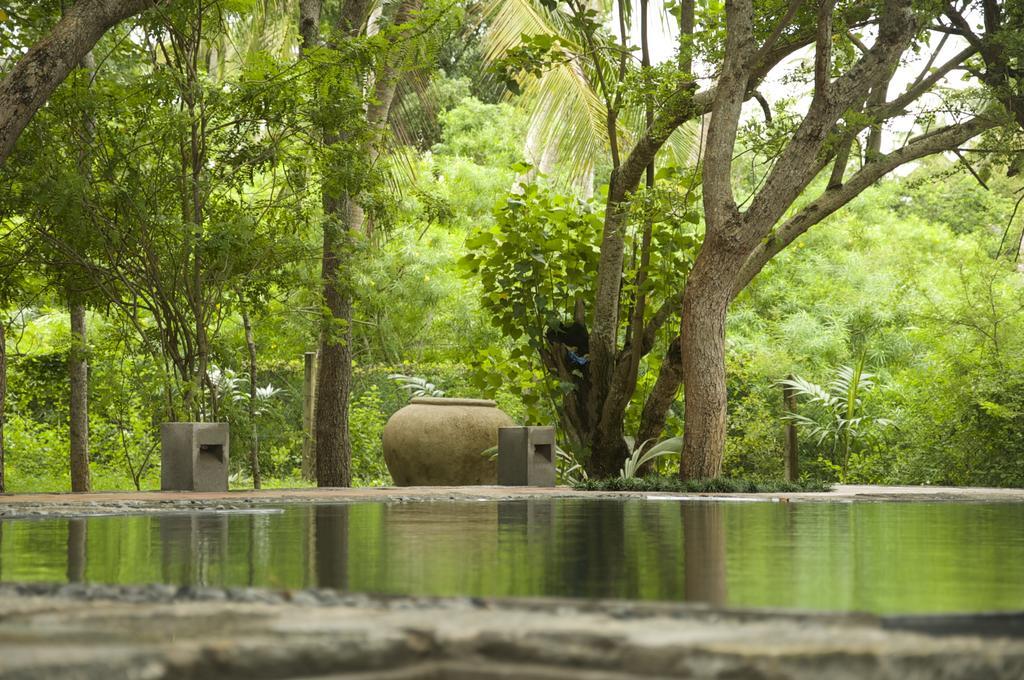 Lagoon House Rekawa Tangalle Ngoại thất bức ảnh