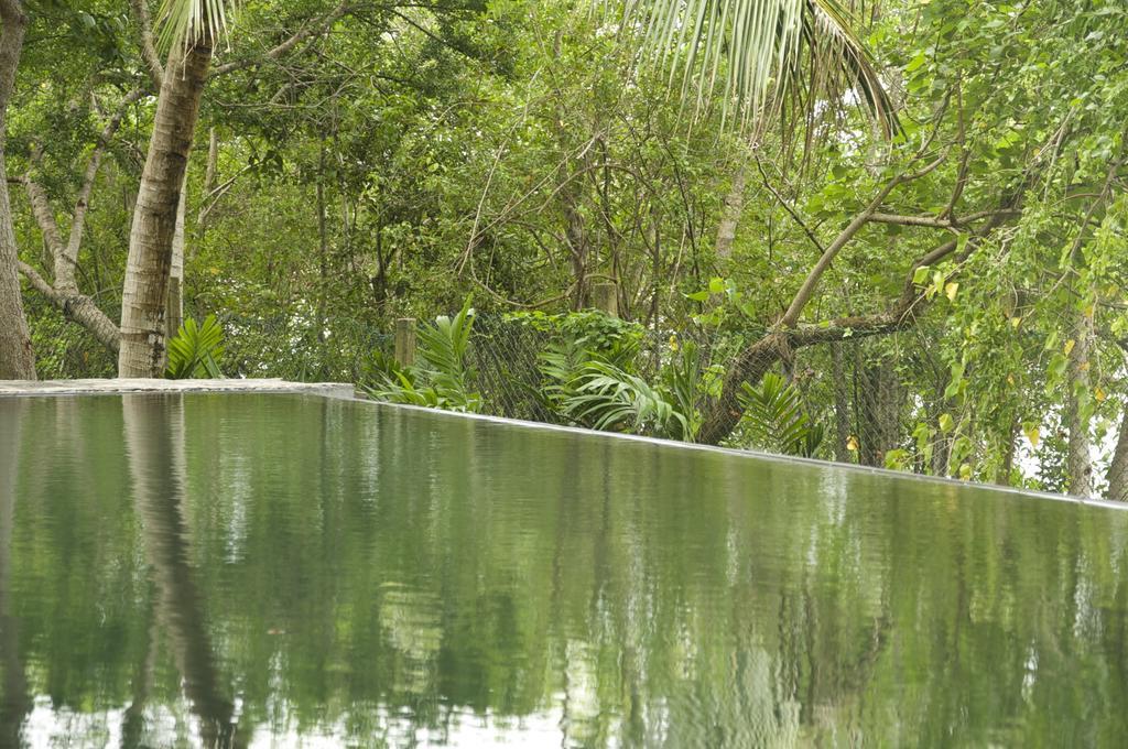 Lagoon House Rekawa Tangalle Ngoại thất bức ảnh